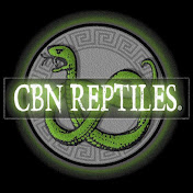 Meet the Vendors | Sacramento Reptile Show